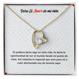 Eterno Amor - Collar Regalo de Amor para Siempre Jewelry ShineOn Fulfillment Acabado en Oro Amarillo de 18 quilates. Cajita Estandard (Gratis) 