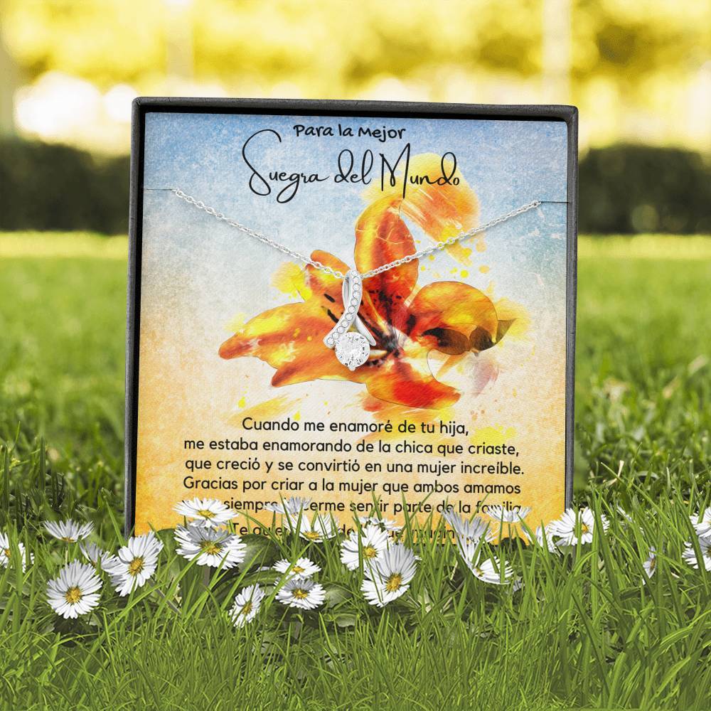 Para la mejor Suegra del Mundo del mejor Yerno - Collar Alluring con tarjeta Jewelry/AlluringBeauty 